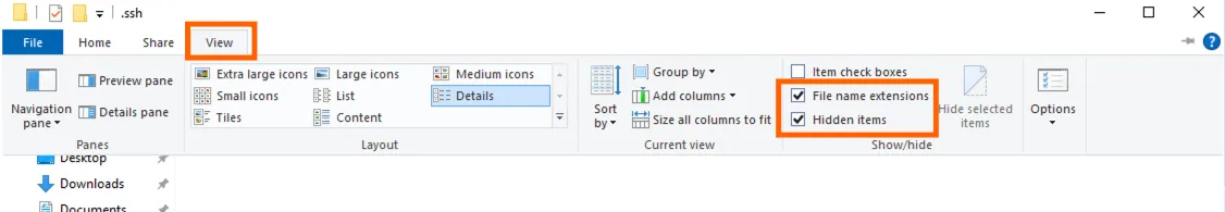 File Explorer View ribbon with "File name extensions" and "Hidden items" checkboxes ticked and highlighted.