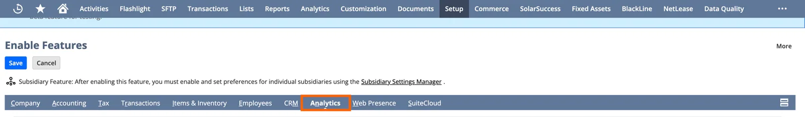 NetSuite "Enable Features" page with the "Analytics" subtab highlighted.