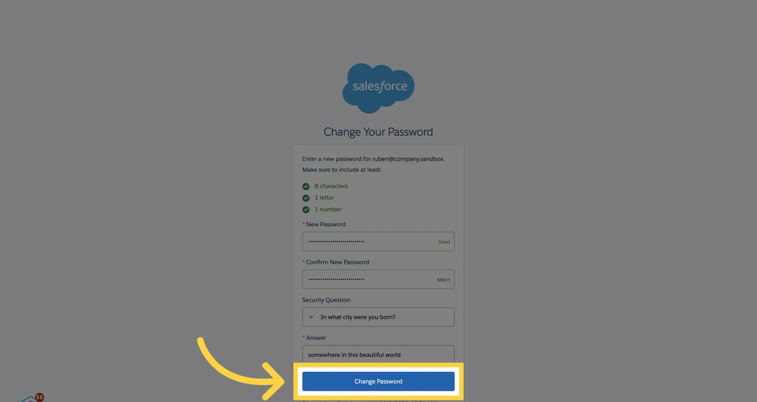 Filled Salesforce password form with all requirements met and the "Change Password" button highlighted