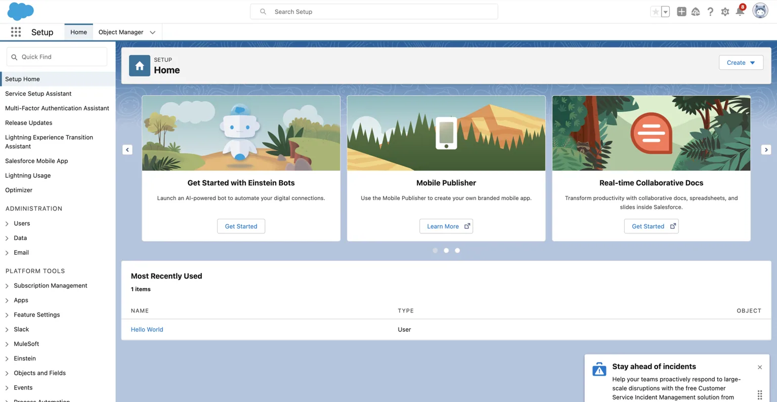 Salesforce Setup Home page of the new developer instance, with the setup menu and feature cards